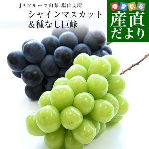 山梨県産 JAフルーツ山梨 塩山支所 シャインマスカット（○秀品以上）＆種なし巨峰（秀品） 2Lサイズ以上 各1房 合計1キロ以上 送料無料 ブドウ ぶどうセット