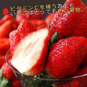 栃木県より産地直送 渡辺さんちのTちゃんいちご...の詳細画像3