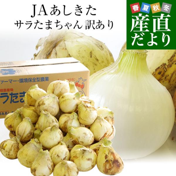 熊本県より産地直送 JAあしきた サラたまちゃん 規格外 (訳あり品) 約10キロ  送料無料 玉葱...