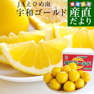 愛媛県より産地直送 JAえひめ南 玉津共選場 宇和ゴールド