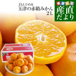 愛媛県より産地直送 JAえひめ南 玉津共選場 玉津の赤箱みかん 大玉 2Lサイズ 5キロ 送料無料  蜜柑 みかん｜sanchokudayori