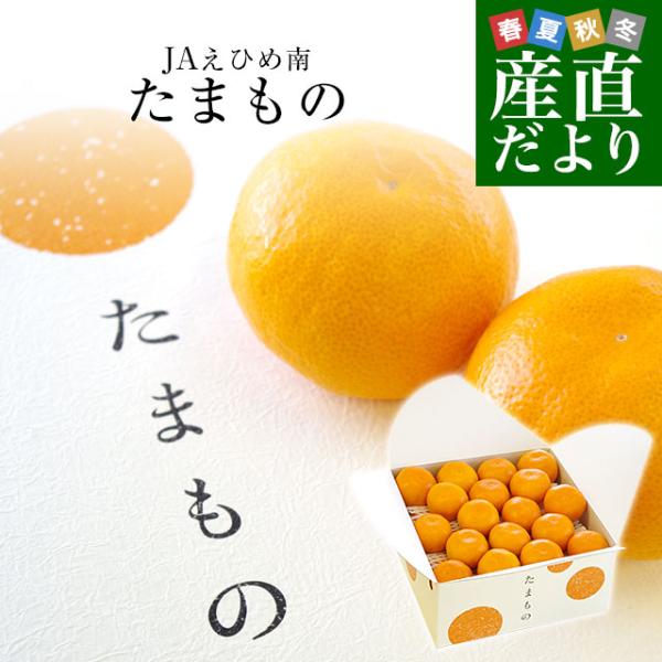 【お歳暮 ギフト】愛媛県より産地直送 JAえひめ南 特秀みかん「たまもの」 3.5キロ Mサイズ(3...