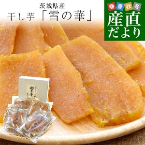 茨城県より産地直送 JAなめがた さつまいも「紅まさり(べにまさり)」 S