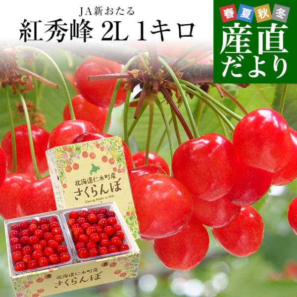 北海道から産地直送 JA新おたる 仁木町のさくらんぼ（紅秀峰） 秀品 2Lサイズ 1キロ（500g×...