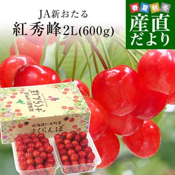 北海道から産地直送 JA新おたる 仁木町のさくらんぼ（紅秀峰） 秀品 2Lサイズ 600g（300g...