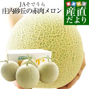 山形県より産地直送 JAそでうら 庄内砂丘の赤肉...の商品画像