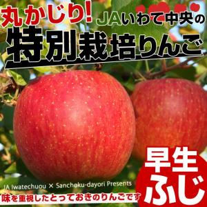 【特別栽培りんごが緊急スポット！】おいしさ丸かじり！JAいわて中央 特別栽培早生ふじりんご 5キロ（14玉から23玉）1,980円！