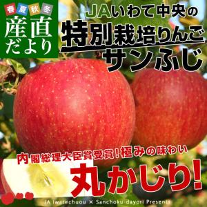 岩手県より産地直送　JAいわて中央 特別栽培りんご「サンふじ」 5キロ (14玉から20玉) 送料無料 林檎 りんご リンゴさんふじ