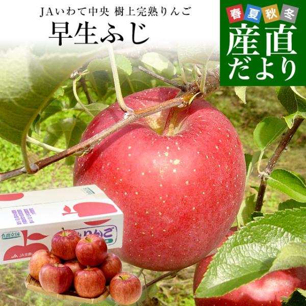 岩手県から産地直送 JAいわて中央 樹上完熟りんご「早生ふじ」等級:特以上 約2.5キロ（7玉から1...