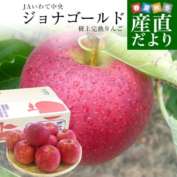 岩手県から産地直送 JAいわて中央 樹上完熟りんご「ジョナゴールド」等級：特以上 約2.5キロ（7玉...
