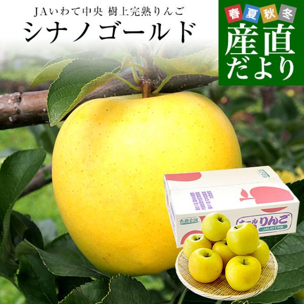 岩手県から産地直送 JAいわて中央 樹上完熟りんご「シナノゴールド」等級：特以上 約2.5キロ（7玉...