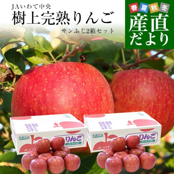 岩手県から産地直送 JAいわて中央 樹上完熟りんご「サンふじ」等級：特以上 約2.5キロ×2箱（7玉...