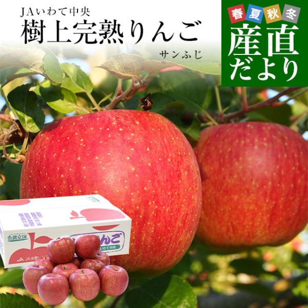 岩手県から産地直送 JAいわて中央 樹上完熟りんご「サンふじ」等級：特以上 約2.5キロ（7玉から1...