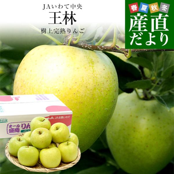 岩手県から産地直送 JAいわて中央 樹上完熟りんご「王林」等級：特以上 約2.5キロ（8玉から11玉...