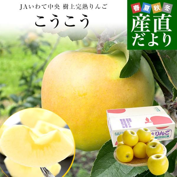 岩手県から産地直送 JAいわて中央 樹上完熟りんご「こうこう」等級：特以上 約2.5キロ（7玉から1...