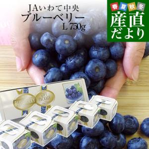 岩手県より産地直送 JAいわて中央 ブルーベリー Lサイズ750g（150g×5P） 送料無料 ぶるーべりー ※クール便