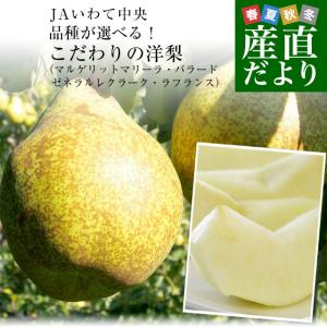 岩手県より産地直送 JAいわて中央 選べる洋ナシ（マルゲリットマリーラ・バラード・ゼネラルレクラーク・ラフランス）約5キロ原体箱