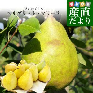 岩手県より産地直送 JAいわて中央 洋梨 マルゲリット・マリーラ 5キロ(10玉から16玉) なし ナシ 送料無料