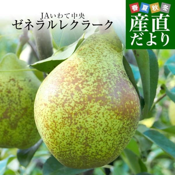 岩手県より産地直送 JAいわて中央 洋梨 ゼネラルレクラーク5キロ(10玉から16玉) なし ナシ ...