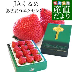 福岡県より産地直送 JAくるめ あまおういちご EX:最上級品エクセレント 420g(12粒から15粒) 苺 いちご イチゴ ストロベリー｜sanchokudayori