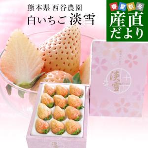 熊本県より産地直送 西谷農園の白いちご 淡雪（あわゆき）