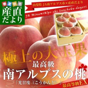 送料無料 山梨県より産地直送 JA南アルプス市 南アルプスの...