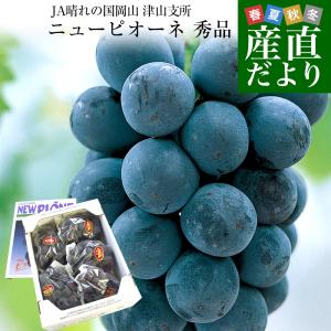 岡山県より産地直送 JA晴れの国岡山 津山支所 ニューピオーネ 秀品 約2キロ (4房から5房) 露地栽培 葡萄 送料無料 ぶどう ブドウ