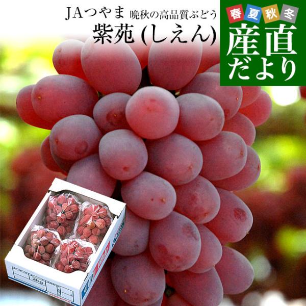 岡山県より産地直送 JA晴れの国岡山津山支所 紫苑（しえん） 秀品 2キロ（3房から5房） 送料無料...