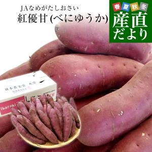 茨城県より産地直送 JAなめがたしおさい さつまいも「紅優甘 (べに