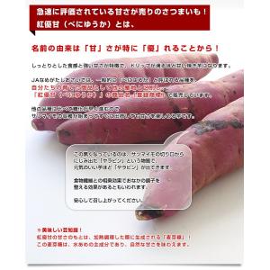 茨城県より産地直送 JAなめがたしおさい さつ...の詳細画像4