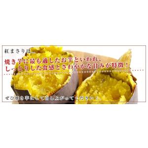 茨城県より産地直送 JAなめがた さつまいも「...の詳細画像3