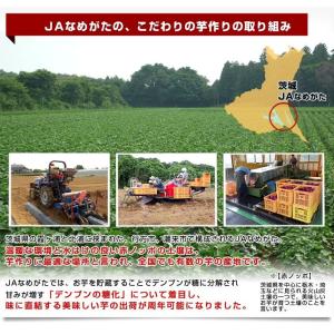 茨城県より産地直送 JAなめがた さつまいも「...の詳細画像5