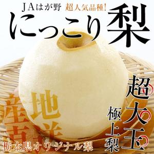 送料無料　栃木県産 JAはが野 栃木県オリジナル品種 にっこり梨 大玉（4から5玉）優品以上 約5キロ　なし　ナシ