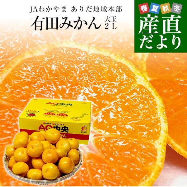和歌山県より産地直送 JAわかやま ありだ地域本部 有田みかん 大玉 2Lサイズ 4.5キロ(30玉...