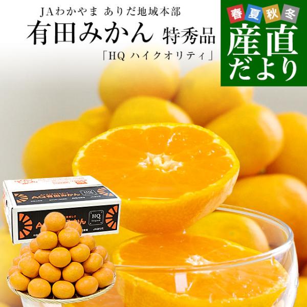 【お歳暮 ギフト】和歌山県より産地直送 JAわかやま ありだ地域本部 有田みかん 糖度12度以上 特...