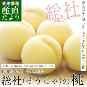 岡山県から産地直送 JA岡山西 総社もも生産部会 総社(そう...