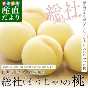 岡山県から産地直送 JA晴れの国岡山 総社もも生産部会 総社(そうじゃ)の桃　青秀以上 1.5キロ前後 (4玉から6玉) 総社の桃 モモ 送料無料｜sanchokudayori