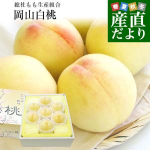岡山県から産地直送 総社もも生産組合 岡山白桃 青秀以上 約1.5キロ (4