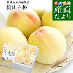岡山県から産地直送 総社もも生産組合 岡山白桃 青秀以上 約1.5キロ (4玉から6玉) 送料無料 桃 モモ もも ピーチ お中元 ギフト
