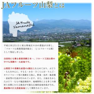 山梨県より産地直送 JAフルーツ山梨 シャイン...の詳細画像5