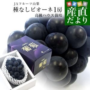 充電式高濃度水素水生成器 My神透水ボトルQ AWH003-Q 2023年8月