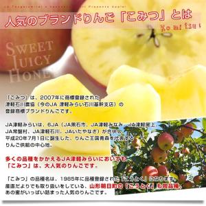 【お歳暮 ギフト】 青森県から産地直送 JA津...の詳細画像3
