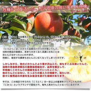 【お歳暮 ギフト】 青森県から産地直送 JA津...の詳細画像4