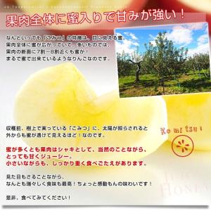 【お歳暮 ギフト】 青森県から産地直送 JA津...の詳細画像5