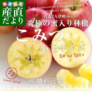 青森県より産地直送 JA津軽みらい 蜜入りりんご「こみつ」 小玉 2キロ (12玉から13玉) 送料無料 林檎 りんご
