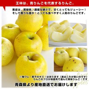 青森県より産地直送 高木商店 マルタカブランド...の詳細画像3