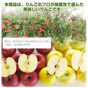 青森県より産地直送 高木商店 マルタカブランド...の詳細画像4