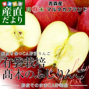 青森県より産地直送 高木商店 マルタカブランド 高木のふじりんご CA貯蔵品 小玉5キロ (23玉から25玉) 送料無料 林檎 リンゴ ※クール便｜sanchokudayori