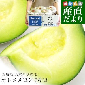 茨城県より産地直送 JA水戸ひぬま オトメメロン 大玉の4Ｌから3Ｌ