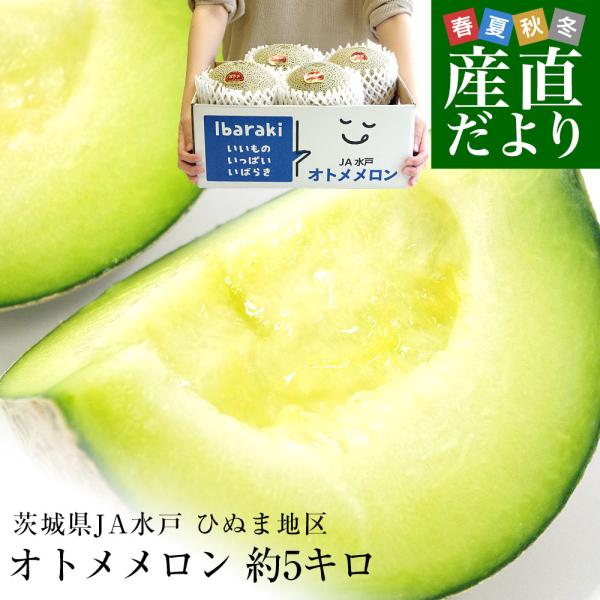 茨城県より産地直送 JA水戸 ひぬま地区 オトメメロン 大玉の4Lから3L 約5キロ (3玉から4玉...